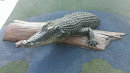 Papiano Alligator