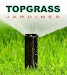 Pasto Alfombra Natural 090327015 Topgrass