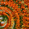 ss_flowertwirl_kgroenewald.jpg