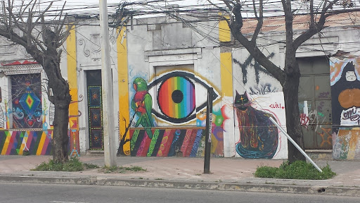 Mural Cat's Eye