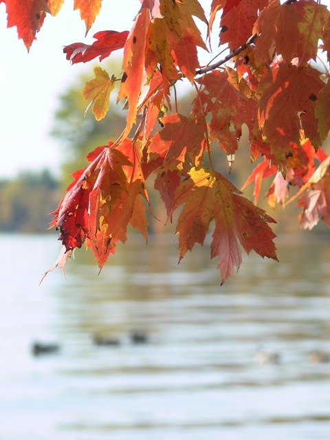 [P1080497[11].jpg]