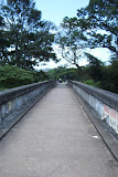 PIM000378.jpg