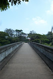 PIM000383.jpg