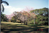 arts_garden3.jpg