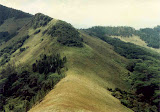 HANTANA1.JPG
