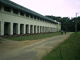 pic_0036.jpg