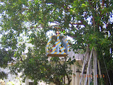 DSCN1187.JPG