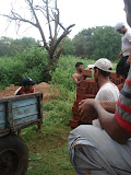 DSC06492.JPG