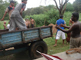 DSC06470.JPG
