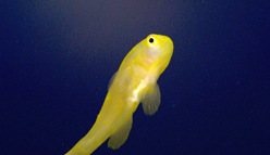 DSC00181
