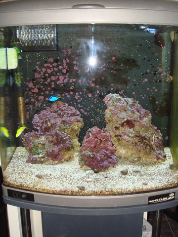 [DSC00800[4].jpg]