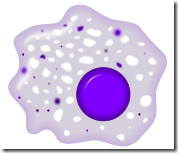 Macrofago
