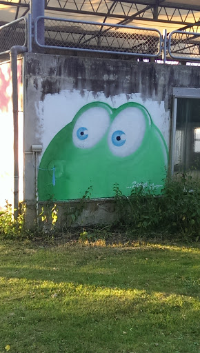 Big Frog is Watching you