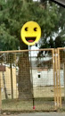 Smiling Face