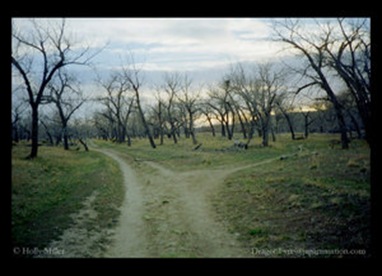 Two_Roads_Diverged_by_medievalgoddess