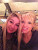 User profile picture thumbnail