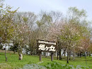 Asahigaoka park