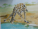 Giraffe Drinking Mural