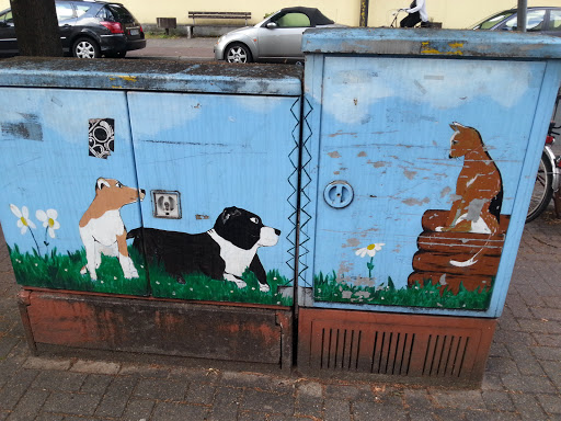 Dogs and Cat Stromkasten Murral
