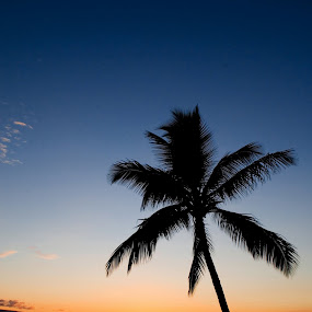 Maui by Julie Michelena - Travel Places