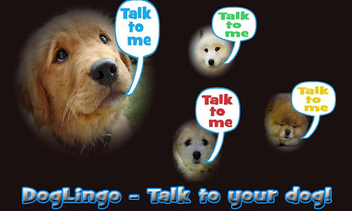免費下載娛樂APP|Dog Lingo - talk to your dog app開箱文|APP開箱王