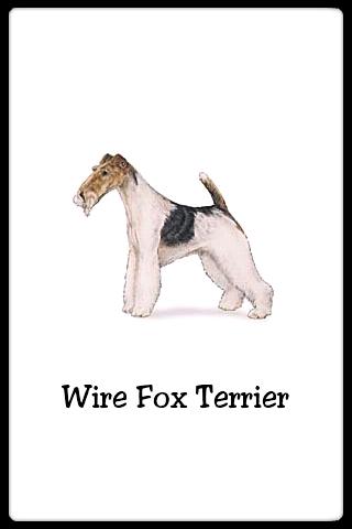 dog-cards for android screenshot