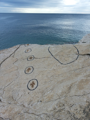 Kamenjak: Real Dinosaur Footprints