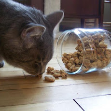 Mackerel Cat Munchies
