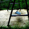 Picture123 967.jpg