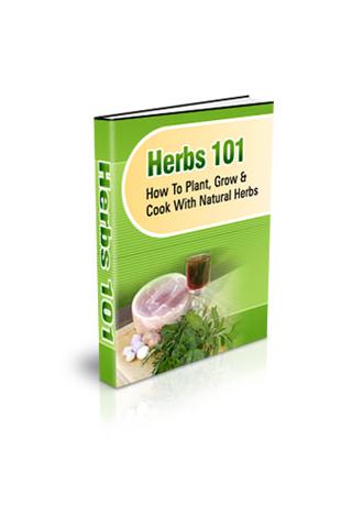 Herbs 101