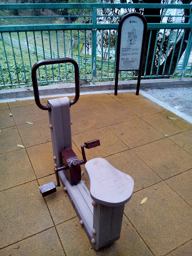 The Bicycle Stepper