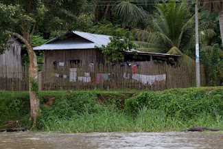 <p>
	Mocagua village, neighbouring Calanoa Amazonas</p>
