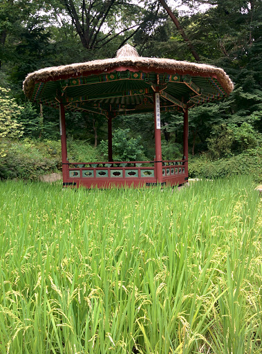 Royal Hut on a Rice Field