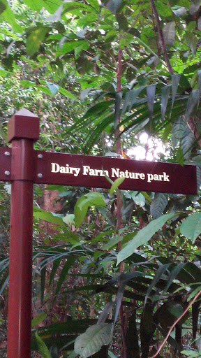 Dairy Farm Nature Park Signboard
