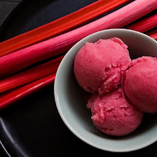 Rhubarb Sorbet