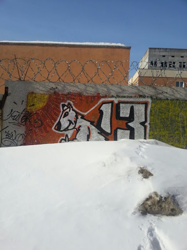 Graffiti Medved-13