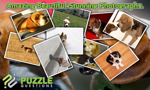 How to get Free Beagle Puzzle Games 3.1.6 unlimited apk for laptop
