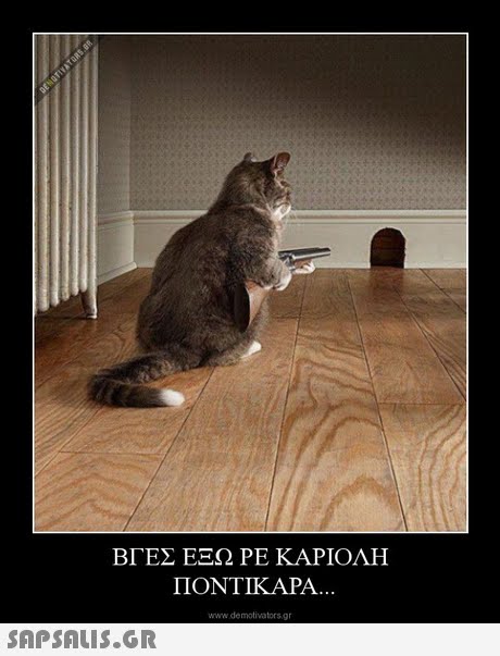 ΒΓΕΣ ΕΞΩ ΡΕ ΚΑΡΙΟΛΗ ΠΟΝΤΙΚΑΡΑ.. . www.demotivators.g 