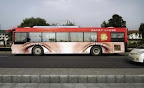 bus_ads_18.jpg bus_ads_18.jpg