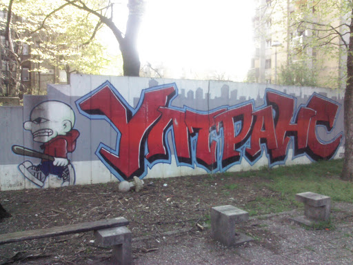 FK Vojvodina UltraNS Mural