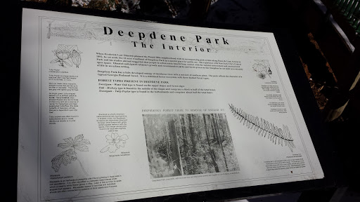 Deepdene Park the Interior