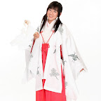Japanese Kimono wafuku