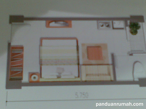 1 BR