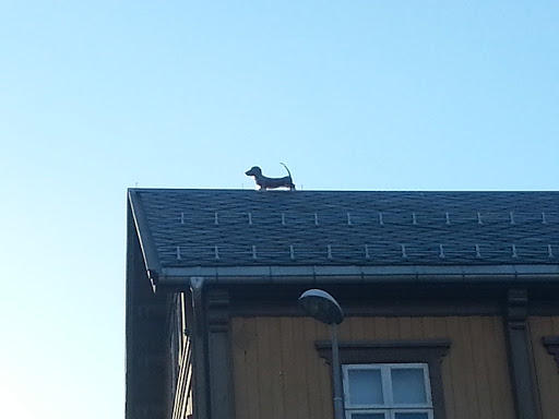 Dog on the Roof Statue