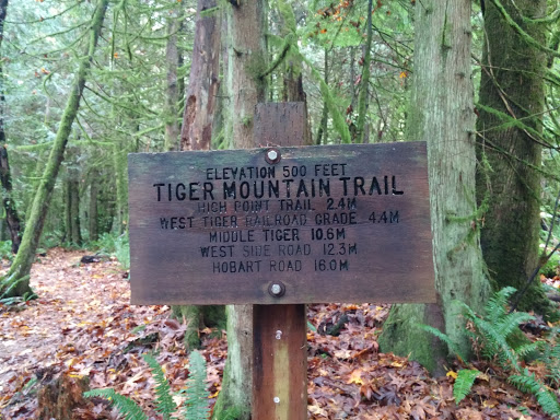Tiger Mountain Trail Marker Mid