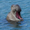 Yawning big nose monster