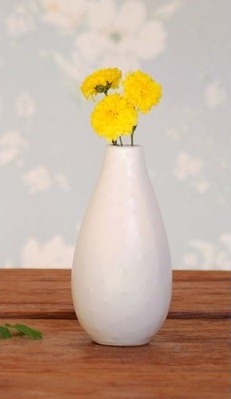 [bud-vases-flowers_thumb%255B2%255D%255B11%255D.jpg]