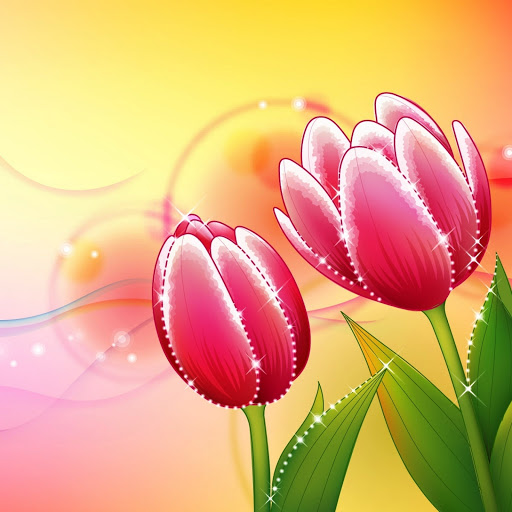 Hd-180519-ascw180519