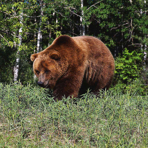 Hd-136649-ascw136649