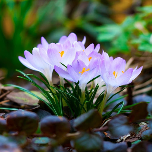 Hd-182339-ascw182339